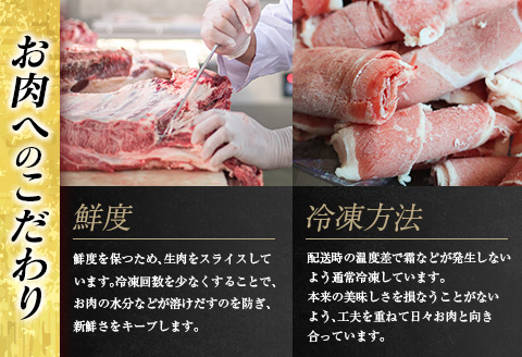 大人気 生冷凍 厳選 豚切り落とし 計3kg 国産 食品 豚肉 ぶた ポーク 小分け 個包装 真空パック 便利 大容量 生姜焼き 野菜炒め 豚汁 肉じゃが 豚丼 お弁当 おかず 晩ご飯 おすすめ 使い切りサイズ 万能食材 おすそ分け 宮崎県 日南市 送料無料_CB111-25-2W 【計3kg】250g×12袋