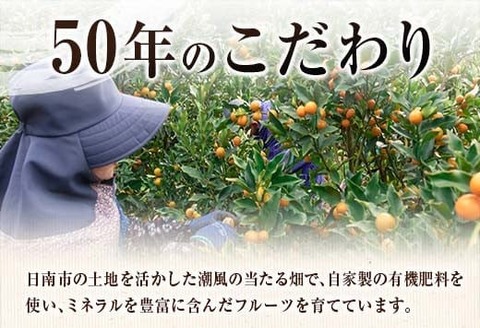 食べ応え抜群 大玉 きんかん 計2kg以上 傷み補償分入り 数量限定 期間限定 フルーツ 果物 くだもの 柑橘 金柑 先行予約 国産 希少 人気 おすすめ ジャム おやつ デザート 小分け おすそ分け 贈り物 ギフト 贈答 ご褒美 産地直送 宮崎県 日南市 送料無料_BB161-25