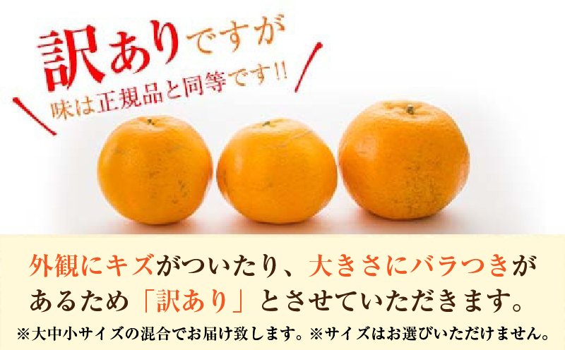 年内発送 訳あり 宮浦 ポンカン 計5kg以上 先行予約 期間限定 数量限定 フルーツ 果物 くだもの 柑橘 みかん 蜜柑 わけあり 国産 食品 おやつ デザート みかんジュース おすすめ ご家庭用 不揃い おすそ分け 産地直送 宮崎県 日南市 送料無料_AV5-25 計5kg以上 