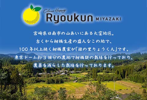 先行予約 新感覚シトラス 黄金柑 おうごんかん 計3kg以上 令和8年発送 期間限定 数量限定 希少 果物 くだもの フルーツ 国産 食品 柑橘 みかん 蜜柑 ゴールデンオレンジ デザート おやつ おすすめ おすそ分け 手土産 ギフト 贈り物 宮崎県 日南市 送料無料_AAV8-25