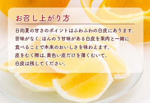 先行予約 酸味と甘味は恋の味 恋する 日向夏 計3kg以上 令和8年発送 期間限定 数量限定 果物 くだもの フルーツ 国産 食品 柑橘 みかん 蜜柑 オリジナル ブランド デザート おやつ ひゅうがなつ おすすめ おすそ分け 手土産 ギフト 宮崎県 日南市 送料無料_AV1-25