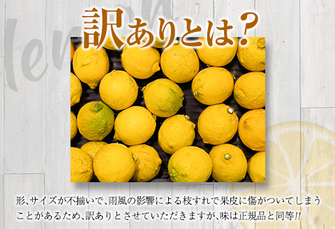 訳あり 数量限定 マイヤーレモン 計5kg以上 フルーツ 果物 柑橘 レモン 檸檬 オレンジ 人気 おすすめ おすそ分け お土産 プレゼント お取り寄せ グルメ 国産 食品 デザート スイーツ ブランド 希少 特産品 産地直送 宮崎県 日南市 送料無料_A89-23 計5kg以上(20～45玉)