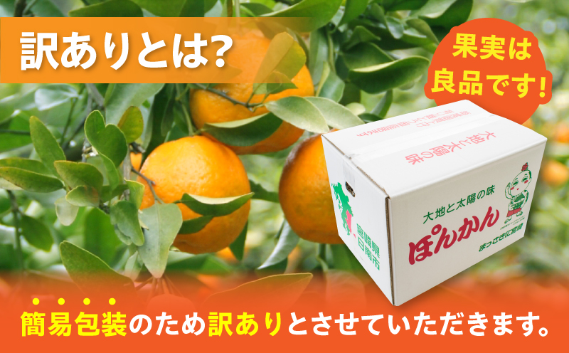 訳あり 平部さんちのポンカン 計7kg以上 先行予約 期間限定 数量限定 フルーツ 果物 くだもの 柑橘 みかん 蜜柑 わけあり 国産 食品 おやつ デザート みかんジュース フルーツサンド おすすめ ご家庭用 おすそ分け 産地直送 宮崎県 日南市 送料無料_BA60-23
