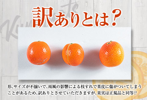 先行予約 訳あり 完熟 きんかん 紅央 計3kg以上 傷み補償分入り 数量限定 期間限定 訳アリ フルーツ 果物 くだもの 柑橘 金柑 おすすめ おすそ分け 国産 食品 デザート ブランド 希少 ご家庭用 ご自宅用 お取り寄せ 特産品 産地直送 宮崎県 日南市 送料無料_BAV7-25