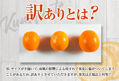 先行予約 訳あり 完熟 きんかん 宮崎王丸 計3kg以上 傷み補償分付き 数量限定 期間限定 フルーツ 果物 くだもの 柑橘 金柑 訳アリ おすすめ おすそ分け ご家庭用 ご自宅用 お取り寄せ 国産 食品 デザート おやつ 甘露煮 産地直送 宮崎県 日南市 送料無料_B245-25