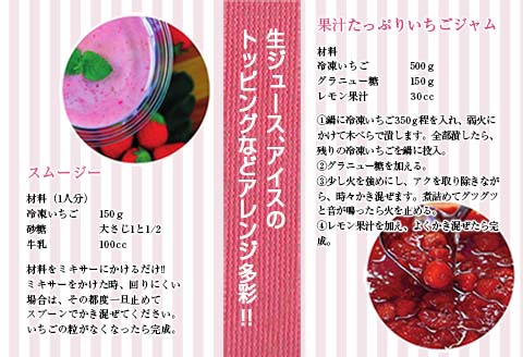 グランプリ受賞 数量限定 冷凍いちご シロップ付 計1kg+170g 【クラッシュタイプ】 果物 くだもの フルーツ 苺 国産 自家製 スムージー イチゴジャム おやつ デザート 詰め合わせ 小分け 産地直送 おすそ分け 贈り物 ギフト 宮崎県 日南市 送料無料_BAV2-24