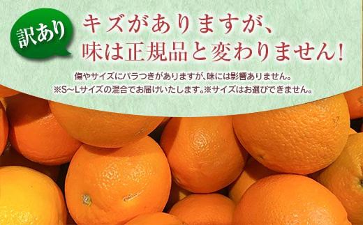 訳あり 津之輝 計3kg以上 先行予約 令和8年発送 期間限定 数量限定 国産 食品 果物 くだもの フルーツ 柑橘 みかん 不揃い S M L 混合 傷 わけあり デザート おやつ ジュース 家庭用 おすそ分け おすすめ つのかがやき 濃厚 常温 宮崎県 日南市 送料無料_BA68-23