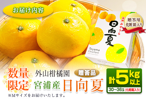 先行予約 宮浦産 日向夏 計5kg以上 化粧箱入り 期間限定 数量限定 フルーツ 果物 くだもの 柑橘 みかん 令和8年発送 国産 産地直送 新鮮 食品 ジュース デザート おやつ ギフト 贈り物 贈答 お返し お礼 手土産 ご褒美 おすそ分け 宮崎県 日南市 送料無料_BB165-25