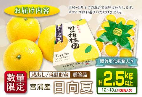 先行予約 宮浦産 蔵出し 日向夏 計2.5kg以上 化粧箱入り 期間限定 数量限定 フルーツ 果物 くだもの 柑橘 みかん 令和8年発送 国産 産地直送 新鮮 食品 ジュース デザート おやつ ギフト 贈り物 贈答 お返し お礼 手土産 おすそ分け 宮崎県 日南市 送料無料_BC130-25