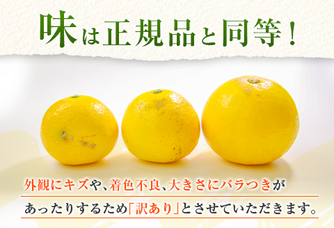 先行予約 訳あり 宮浦産 蔵出し 日向夏 計3kg以上 期間限定 数量限定 フルーツ 果物 くだもの 柑橘 みかん 令和8年発送 国産 産地直送 新鮮 食品 ジュース デザート フルーツサンド おやつ ご褒美 おすそ分け ご家庭用 ご自宅用 宮崎県 日南市 送料無料_BC131-25