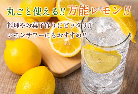 先行予約 マイヤーレモン 計3kg以上 希少 国産レモン 果物 くだもの フルーツ 檸檬 柑橘 期間限定 数量限定 おすすめ ジュース 飲み物 サラダ 調味料 焼肉 バーベキュー BBQ デザート おすそ分け 産地直送 食品 贈り物 お土産 宮崎県 日南市 送料無料_AV3-25