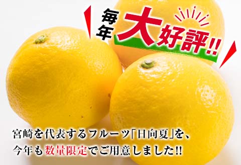 毎年大好評!!宮崎を代表するフルーツ 日向夏 計2.5kg以上 化粧箱入り 期間限定 数量限定 先行予約 2026 令和8年発送 果物 くだもの 柑橘 みかん みかんジュース デザート 国産 食品 おすすめ ギフト 贈り物 贈答 おすそ分け お祝い 宮崎県 日南市 送料無料_B214-23