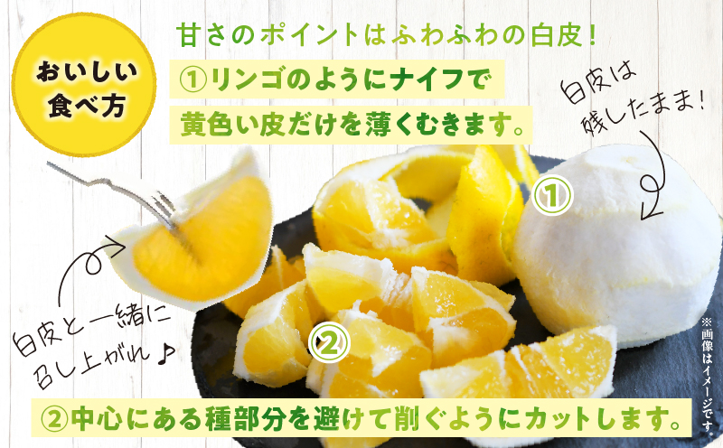 先行予約 日向夏 計2.5kg以上 化粧箱入り 期間限定 数量限定 果物 フルーツ くだもの 柑橘 みかん 令和8年発送 ジュース フルーツサンド おやつ デザート 国産 食品 おすすめ ギフト 贈り物 贈答 おすそ分け お祝い お返し 宮崎県 日南市 送料無料_B216-23 計2.5kg以上