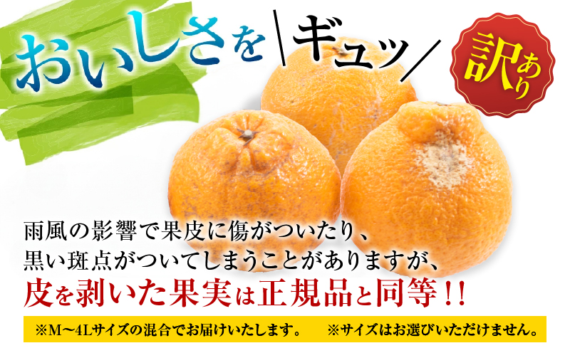 先行予約 訳あり 不知火 計4kg以上 傷み補償分付き 期間限定 数量限定 フルーツ 果物 くだもの 柑橘 みかん しらぬい 令和8年発送 おやつ デザート ジュース 国産 食品 おすすめ ご褒美 産地直送 おすそわけ 家庭用 ネイバーフッド 宮崎県 日南市 送料無料_A97-25