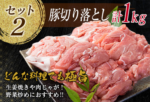 万能 豚肉 3種 バラエティ セット 合計2.6kg 国産 ポーク 食品 豚ロース 豚バラ 豚切り落とし 豚ミンチ ひき肉 豚肩 おかず お弁当 おつまみ 焼肉 しゃぶしゃぶ ハンバーグ 炒め物 小分け お祝 パーティー お取り寄せ 詰め合わせ 宮崎県 日南市 送料無料_BA70-23
