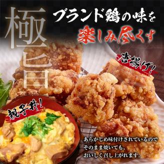みやざき地頭鶏 計1kg 鶏肉 チキン 地頭鶏 塩味 味付き 国産 おかず 食品 加工品 惣菜 真空パック おつまみ お弁当 唐揚げ 親子丼 ブランド鶏 簡単調理 焼肉 BBQ 鉄板焼き お祝い 記念日 お取り寄せ グルメ おすそ分け 宮崎県 日南市 送料無料_BA71-23