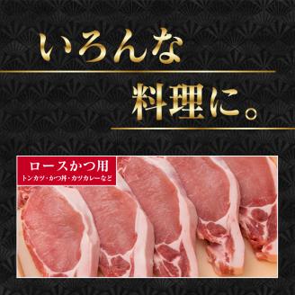 宮崎県産 豚肉 豚ロース バラエティー セット 合計1.5kg ポーク 国産 食品 万能食材 とんかつ スライス しゃぶしゃぶ トンカツ おかず お弁当 おつまみ 焼肉 炒め物 おすすめ ご褒美 お祝い 記念日 パーティー お取り寄せ グルメ 詰め合わせ 日南市 送料無料_BB119-23
