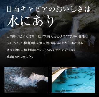キャビアフィッシュ スモーク 50g 日南 キャビア 4g 黄金 セット 燻製 加工品 魚介 魚貝 魚卵 海産物 食品 国産 世界三大珍味 黒いダイヤ 希少 贅沢 おつまみ おすすめ 高級食材 人気 お祝 おもてなし お取り寄せ グルメ 特産品 宮崎県 日南市 送料無料_BB117-23