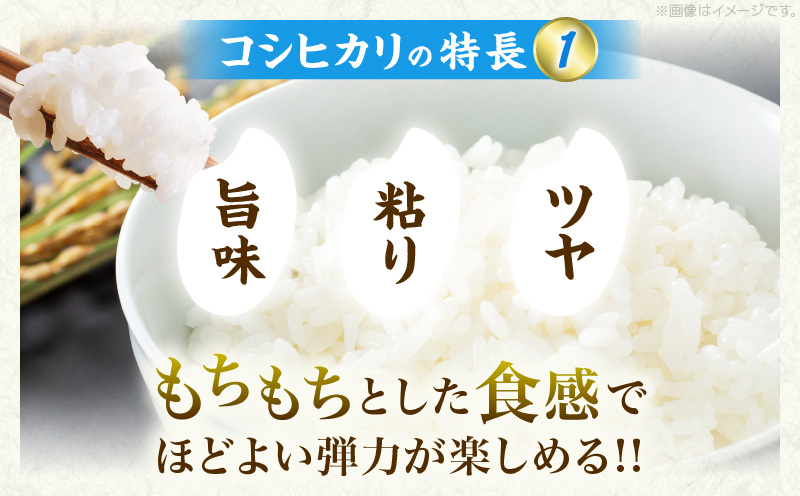 令和7年産 新米 コシヒカリ 計10kg お米 ご飯 ライス 国産 数量限定 期間限定 人気 食品 精米 白米 こしひかり 有洗米 おにぎり お弁当 炊き込みご飯 雑炊 ギフト プレゼント 贈り物 お取り寄せ 産地直送 宮崎県 日南市 送料無料_E55-25 計10kg