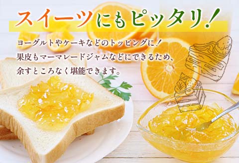 ★テレビで紹介された★ 数量限定 グレープフルーツ 月夜実 白 つくよみ 計4kg以上 期間限定 希少 完熟 果物 くだもの 柑橘 オリジナル ブランド 国産 食品 人気 おすすめ デザート スイーツ おやつ おすそ分け お取り寄せ グルメ 産地直送 宮崎県 日南市 送料無料_BC102-24