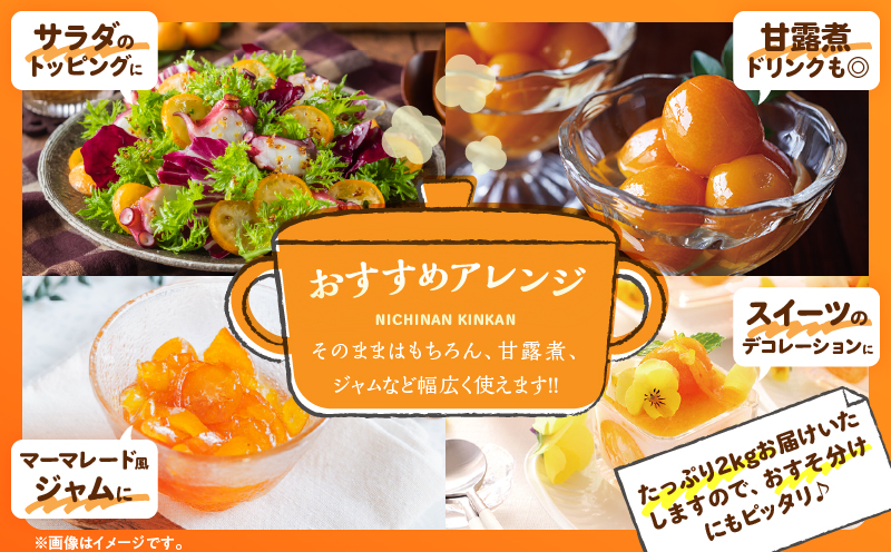 完熟きんかん 計2kg 期間限定 数量限定 フルーツ 果物 くだもの 柑橘 金柑 国産 食品 デザート おやつ 甘露煮 ジャム まるごと 甘い ビタミン おすすめ ギフト プレゼント おすそ分け 産地直送 先行予約 令和8年発送 宮崎県 日南市 送料無料_BAV9-25