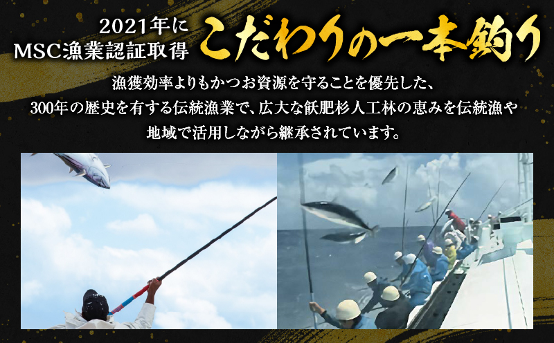 年内発送＼近海かつお一本釣り漁獲量日本一!!／ 大判 かつお 柵 計800g 食品 国産 真空パック おすすめ 鰹 カツオ 刺身 刺し身 サク おかず おつまみ ギフト 魚介類 新鮮 海産物 数量限定 人気 プレゼント 贈り物 贈答 お取り寄せ 宮崎県 日南市 送料無料_BB149-24