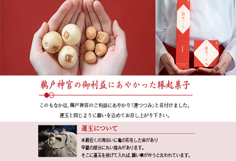 鵜戸名物 一口 もなか 運つつみ 計22個 和菓子 お菓子 完熟金柑 餡子 鵜戸神宮 運玉 最中 お茶菓子 詰め合わせ 縁起物 願掛け 願い事 贈り物 贈答品 ギフト スイーツ おやつ プレゼント あんこ お供え お取り寄せ グルメ おすそ分け 宮崎県 日南市 送料無料_BC75-23