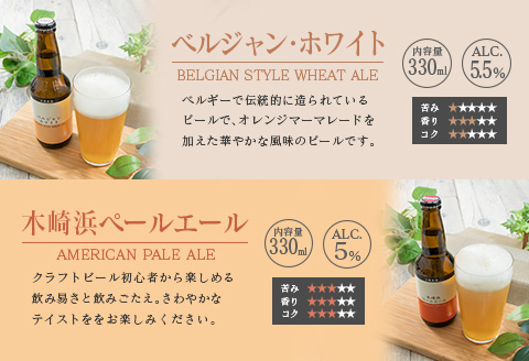 地域限定 人気 クラフトビール 6種 飲み比べ セット 330ml × 6本 国産 食品 お酒 アルコール 飲料 ブルワリー 地ビール 麦酒 テイスト おすすめ パーティー お祝 記念日 ご褒美 お土産 ギフト 詰め合わせ お取り寄せ グルメ 宮崎県 日南市 送料無料_BC73-23