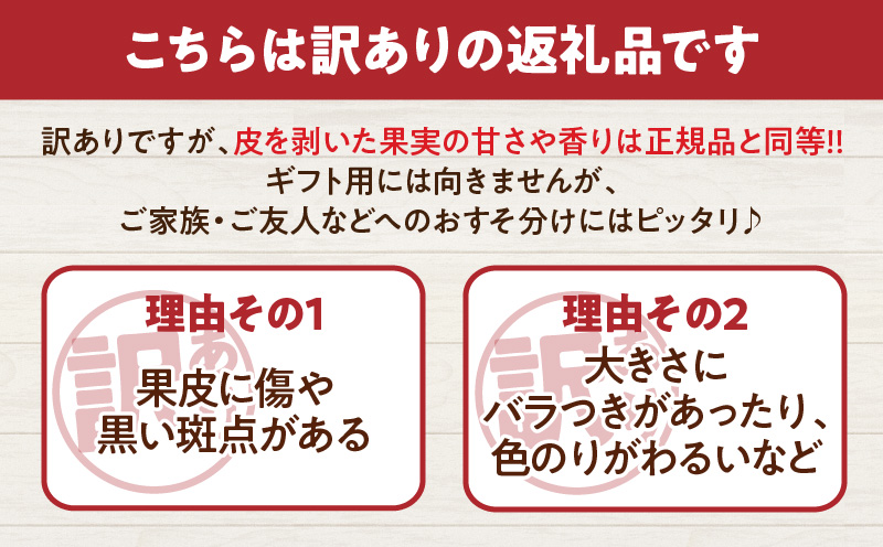 訳あり 数量限定 希少 完熟 マンゴー 鉢植え栽培 計1kg以上 期間限定 くだもの 果物 フルーツ 不揃い 糖度13度以上 日南市産 国産 ご家庭用 食品 デザート おやつ 人気 おすすめ ご褒美 おすそ分け 産地直送 トロピカルフルーツ 冷蔵 宮崎県 送料無料_CB95-24