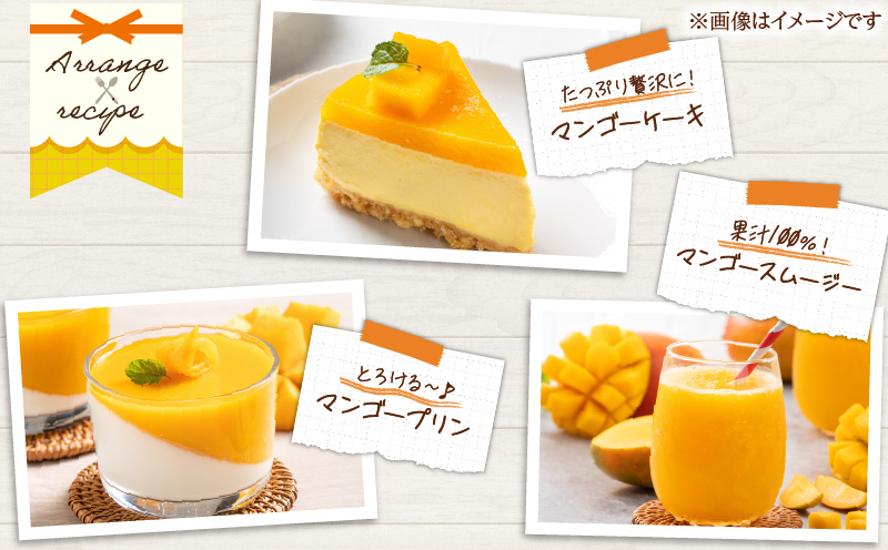 先行予約 数量限定 南国 宮崎 完熟マンゴー 4L × 1玉 A級品 化粧箱入り 期間限定 フルーツ スイーツ 果物 くだもの マンゴー 食品 デザート 国産 産地直送 人気 リピート おすすめ おやつ 高級 ご褒美 贅沢 贈り物 ギフト プレゼント 日南市 送料無料_BD101-24
