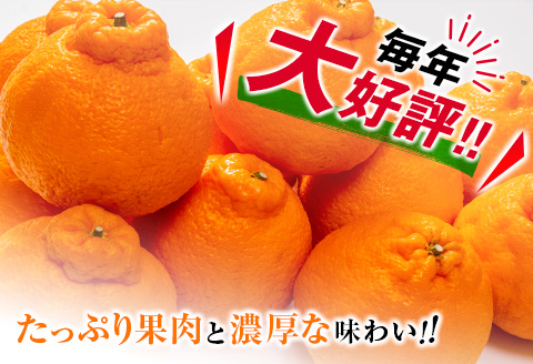 たっぷり果肉とジューシーな果汁!! 不知火 計3kg以上 化粧箱入り 期間限定 数量限定 先行予約 2026 令和8年発送 果物 くだもの 柑橘 みかん しらぬい デザート 国産 食品 おすすめ ギフト 贈り物 贈答 おすそ分け お祝い お返し 宮崎県 日南市 送料無料_BAV10-25