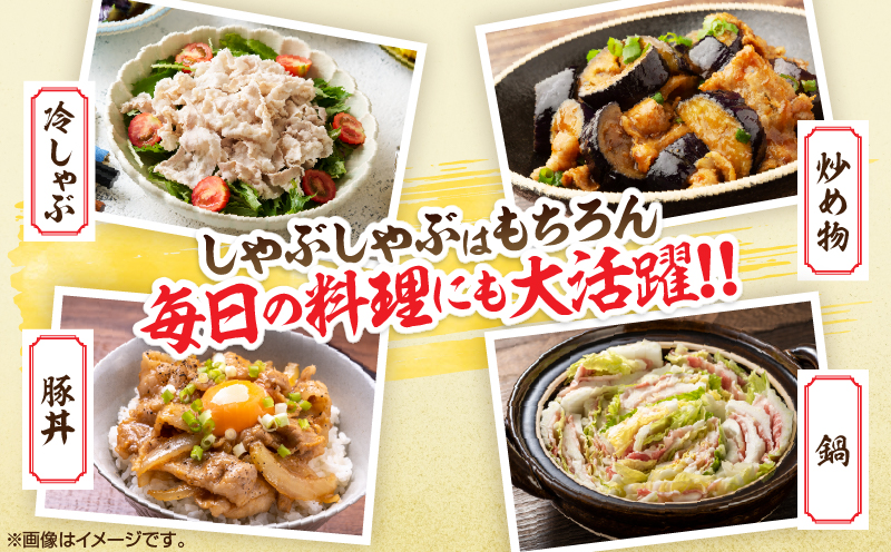 宮崎県産 豚肉 バラしゃぶ 計1.2kg 国産 食品 豚バラ スライス しゃぶしゃぶ 冷しゃぶ 鍋 炒め物 豚丼 焼肉 BBQ 個包装 小分け パック おすすめ おかず お弁当 晩ご飯 手軽 便利 万能食材 ギフト 贈り物 冷凍 日南市 送料無料_BC125-25 計1.2kg(300g×4パック)