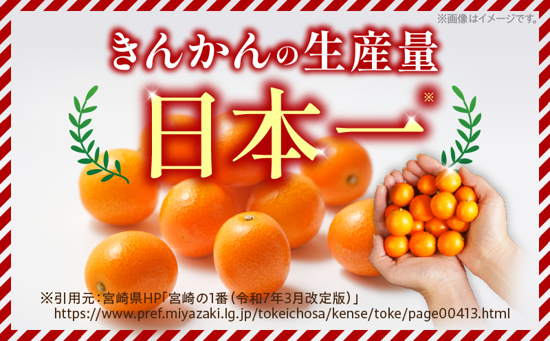  先行予約 完熟きんかん たまたま 計3kg以上 (3kg×1箱) 希少 期間限定 数量限定 フルーツ 果物 くだもの 柑橘 金柑 国産 食品 大粒 宮崎ブランド おすすめ デザート おやつ ギフト 贈り物 贈答 お返し お祝い おすそ分け 産地直送 日南市 送料無料_BC58-23 3kg×1箱