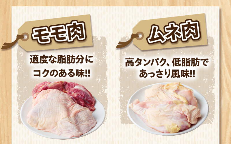 数量限定 みやざき地頭鶏 5種セット 肉 鶏肉 とり 国産 食品 小分け 食べ比べ もも むね ささみ 手羽先 手羽元 おかず おつまみ お弁当 晩ご飯 から揚げ サラダ 焼肉 万能食材 真空パック 冷凍 おすすめ ギフト 贈り物 贈答 宮崎県 日南市 送料無料_BD98-24