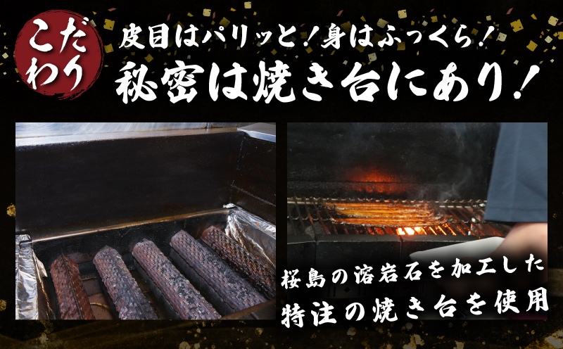 職人 手焼き うなぎ蒲焼 2尾 計260g以上 鰻 魚介類 伝統の味 秘伝のタレ 厳選 国産 ウナギ おかず 食品 加工品 真空パック 冷蔵 人気 おすすめ うな重 うな丼 惣菜 お土産 ひつまぶし うなぎ寿司 お祝い 贈り物 ギフト 贈答 プレゼント 宮崎県 日南市 送料無料_CD40-23