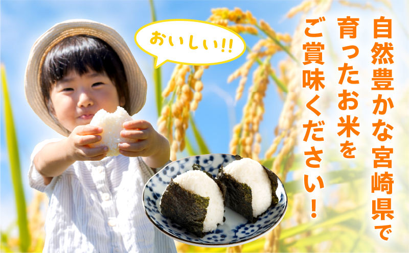 2週間以内に発送 早場米 コシヒカリ 計10kg 期間限定 日南市産 お米 ご飯 ライス 国産 令和7年産 人気 食品 精米 白米 こしひかり 有洗米 おにぎり お弁当 炊き込みご飯 雑炊 ギフト 贈り物 贈答 産地直送 宮崎県 日南市 送料無料_FA11-25 計10kg