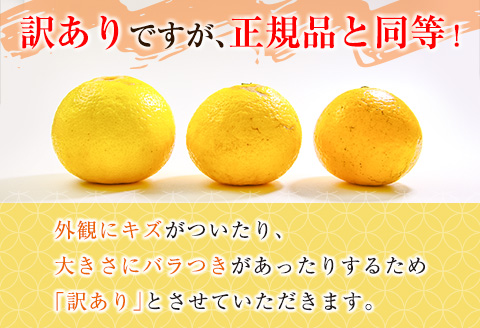 先行予約 訳あり 宮浦産 日向夏 計10kg以上 期間限定 数量限定 フルーツ 果物 くだもの 柑橘 みかん 令和8年発送 国産 産地直送 新鮮 食品 ジュース デザート フルーツサンド おやつ ご褒美 おすそ分け ご家庭用 宮崎県 日南市 送料無料_CA85-25 計10kg以上