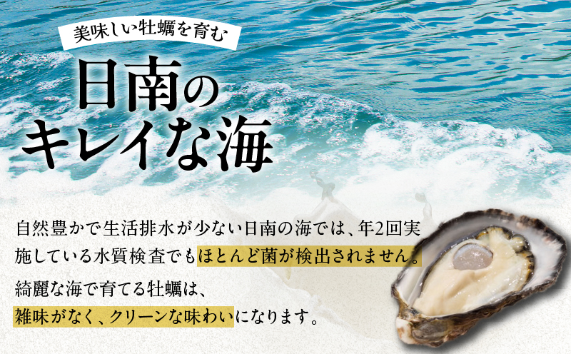数量限定 宮崎県産 ブランド 牡蠣 ひとしおオイスター 計20個 魚介 魚貝 かき 生食用 殻付き 国産 おかず おつまみ 食品 海鮮 海産物 シーフード BBQ バーベキュー アウトドア グランピング 海の幸 養殖 絶品 贅沢 ご褒美 お取り寄せ グルメ 日南市 送料無料_CB81-23