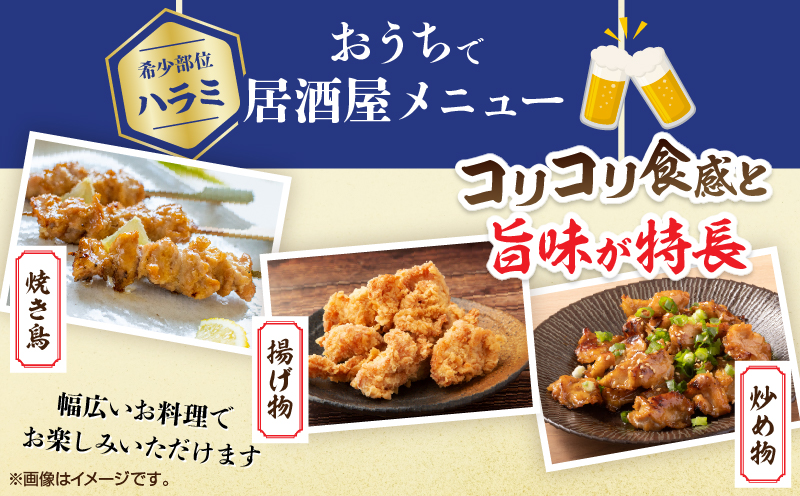 希少部位 宮崎県産 若鶏 ハラミ 計3kg 鶏肉 とり 鳥 国産 小分け 真空パック おかず お弁当 おつまみ 食品 チキン 簡単調理 鶏飯 焼き鳥 焼肉 炒め物 揚げ物 唐揚げ チキンカレー おすすめ 贈り物 ギフト おすそ分け 冷凍 宮崎県 日南市 送料無料_CB107-25