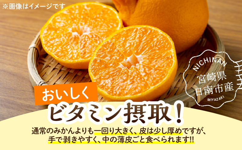 先行予約 不知火 計4.5kg 傷み補償分付き 期間限定 果物 くだもの フルーツ 蜜柑 ミカン 柑橘 おやつ デザート みかんジュース ゼリー シャーベット おすすめ おすそ分け 国産 食品 産地直送 お祝い お返し ギフト 贈り物 贈答 宮崎県 日南市 送料無料_CB112-25