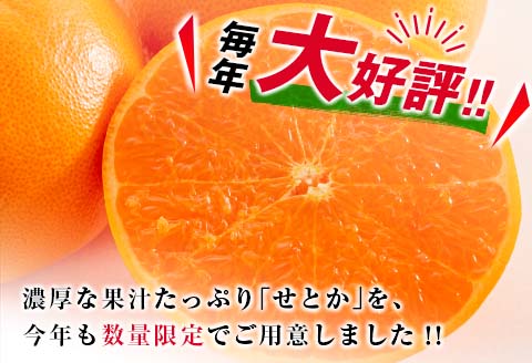 柑橘界の大トロ!! とろけるような食感!! せとか 計3kg以上 化粧箱入り 期間限定 数量限定 先行予約 2026 令和8年発送 果物 くだもの 柑橘 みかん おやつ デザート 国産 食品 おすすめ ギフト 贈り物 贈答 おすそ分け お祝い お返し 宮崎県 日南市 送料無料_D99-24
