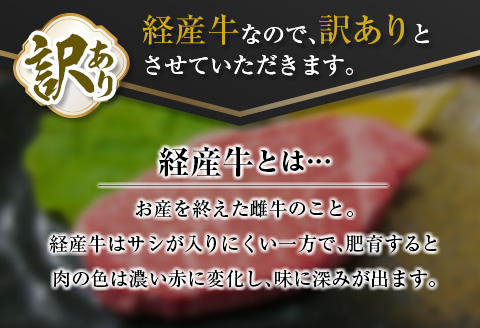 訳あり 数量限定 黒毛和牛 ヒレ ステーキ 計360g 牛肉 ビーフ 赤身肉 希少 国産 ミヤチク ご褒美 お祝 記念日 食品 焼肉 鉄板焼き BBQ バーベキュー グランピング おかず おつまみ おすすめ お取り寄せ グルメ フィレ ヘレ 宮崎県 日南市 送料無料_DA39-25