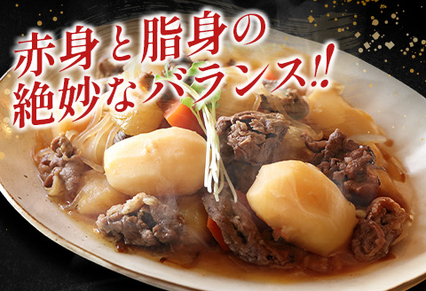 数量限定 黒毛和牛 切り落とし スライス 計1kg 牛肉 ビーフ 国産 食品 おかず お弁当 おつまみ 焼肉 BBQ 鉄板焼き 肉巻き 肉じゃが 牛丼 炒め物 カレー シチュー 小間切れ こま切れ お祝 記念日 イベント 小分け お取り寄せ グルメ 宮崎県 日南市 送料無料_CB70-23