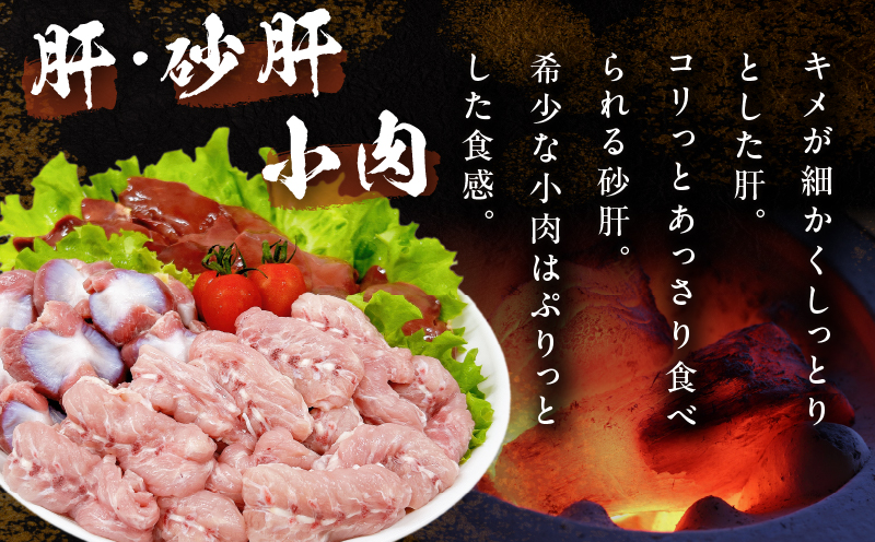 日南どり 焼肉 食べ比べ セット 合計3kg 鶏肉 国産 チキン 鶏もも肉 切身 肝 砂肝 小肉 人気 小分け 便利 おかず お弁当 おつまみ 食品 真空パック バーベキュー BBQ 唐揚げ お取り寄せ おすすめ ご褒美 記念日 お祝い おすそ分け 日南市 宮崎県 送料無料 日南どりTRINITY_CB86-24