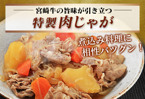 宮崎牛 赤身 モモ ウデ 切落し セット 計800g 牛肉 ビーフ 黒毛和牛 国産 ブランド牛 食品 もも うで 切り落とし 高級 贅沢 ご褒美 お祝い 記念日 人気 おすすめ カレー シチュー ハヤシライス 牛丼 おかず 冷凍 お取り寄せ グルメ 宮崎県 日南市 送料無料_DA46-25