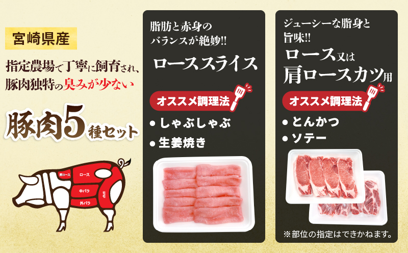 宮崎県産 豚肉 5種 セット (合計3kg) 国産 食品 豚バラ 切り落とし ロース スライス ミンチ 焼肉 BBQ しゃぶしゃぶ 生姜焼き とんかつ ソテー 豚丼 ハンバーグ 個包装 小分け おすすめ おかず お弁当 晩ご飯 手軽 便利 ギフト 贈り物 冷凍 日南市 送料無料_CC69-25
