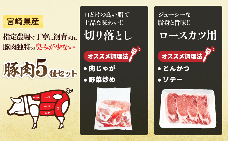 宮崎県産 豚肉 5種 セット (合計3.2kg) 国産 食品 豚バラ 切り落とし ロース スライス 焼肉 BBQ しゃぶしゃぶ 生姜焼き とんかつ ソテー 豚丼 野菜炒め 冷しゃぶ 個包装 小分け おすすめ おかず お弁当 晩ご飯 手軽 便利 ギフト 贈り物 冷凍 日南市 送料無料_CD73-25