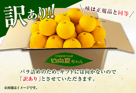 先行予約 訳あり 日向夏 計10kg以上 期間限定 数量限定 果物 フルーツ くだもの 柑橘 みかん 令和8年発送 ジュース フルーツサンド おやつ デザート 国産 食品 おすすめ バラ詰め おすそ分け ご家庭用 手土産 宮崎県 日南市 送料無料_D114-25 計10kg以上