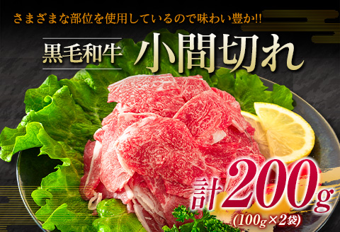宮崎牛 モモ ステーキ 黒毛和牛 小間切れ セット 合計700g 牛肉 ビーフ 国産 ブランド牛 もも肉 おかず 食品 赤身肉 万能食材 焼肉 鉄板焼き 高級 贅沢 ご褒美 お祝い 記念日 人気 おすすめ 詰め合わせ お取り寄せ グルメ ディナー 宮崎県 日南市 送料無料_DA19-23