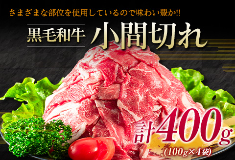 宮崎牛 赤身 焼肉 黒毛和牛 小間切れ セット 合計800g 牛肉 ビーフ 国産 うで もも ブランド牛 人気 おすすめ 万能食材 食品 お取り寄せ グルメ 詰め合わせ 贅沢 ご褒美 お祝い 記念日 おかず 弁当 おつまみ BBQ 鉄板焼き おすそ分け 宮崎県 日南市 送料無料_DA20-23